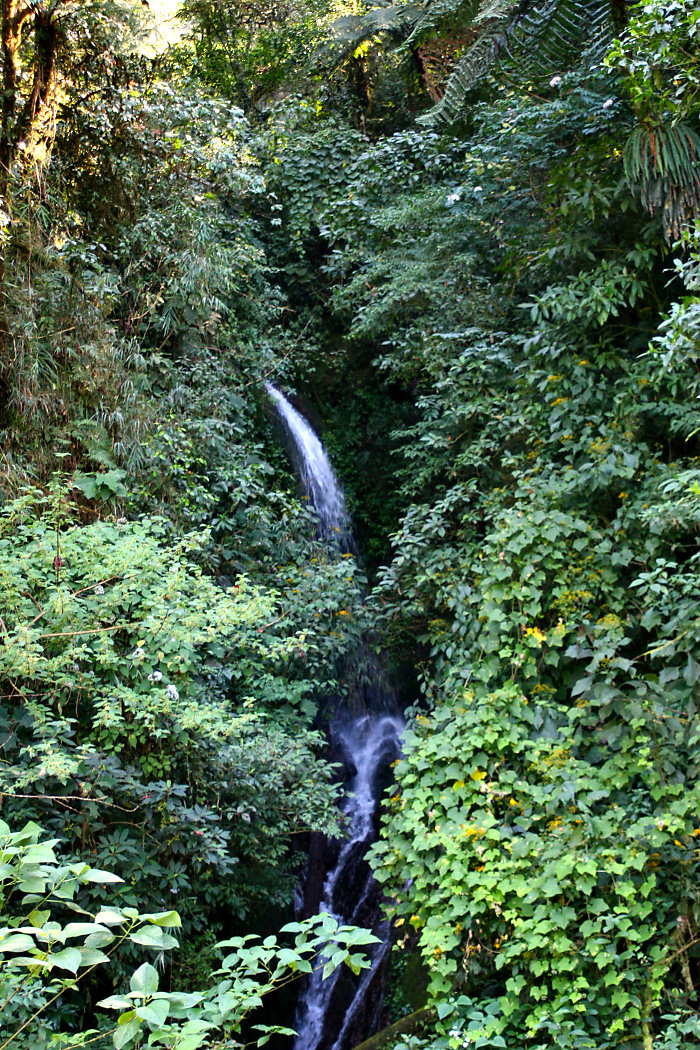 Sierra de Juarez, Oaxaca, Mexico